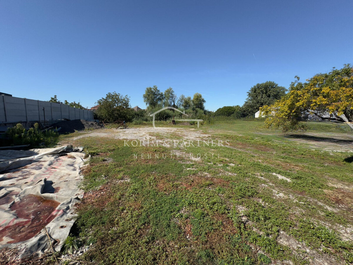 Jedinečný dom na extra veľkom pozemku Kolárovo - 4