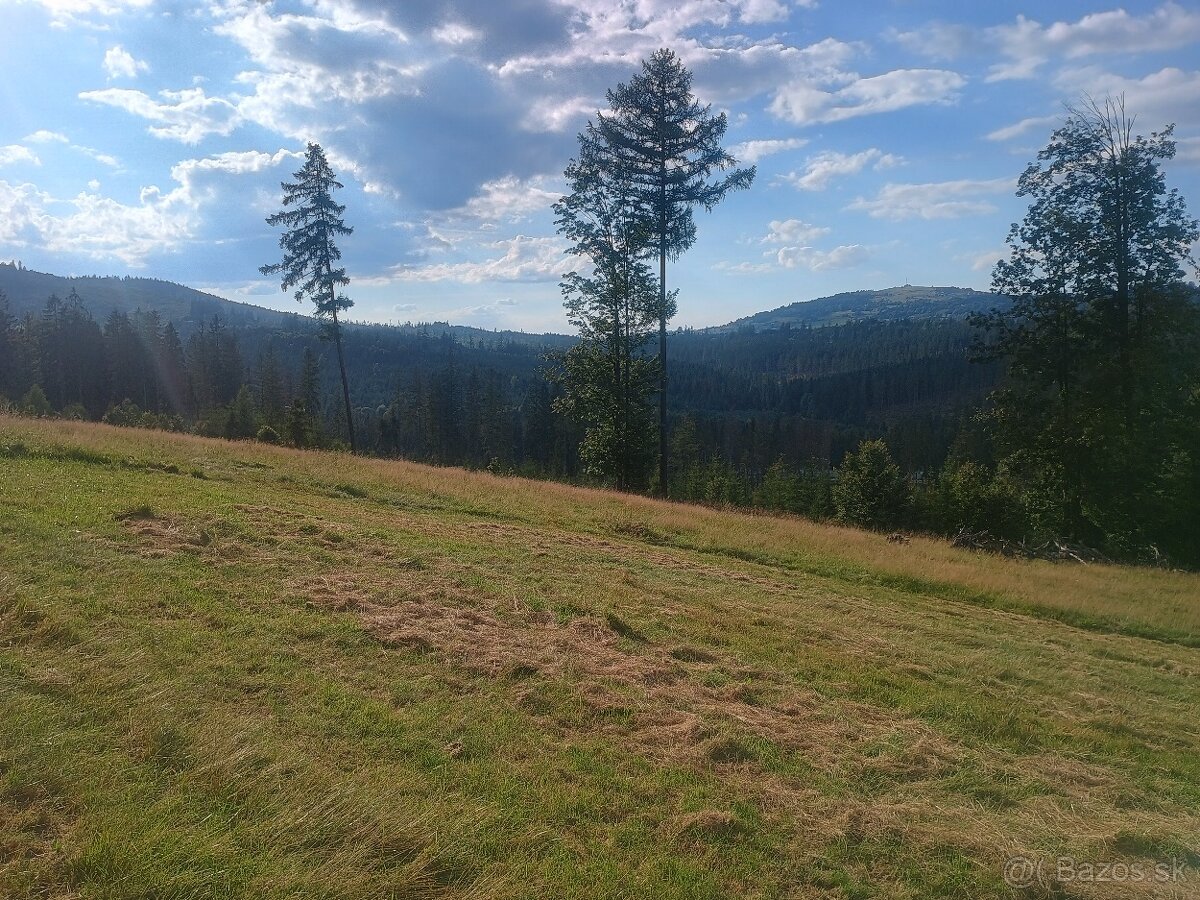 Zľava: Predáme pozemok pre chaty vo Zwardoni (PL) - 4