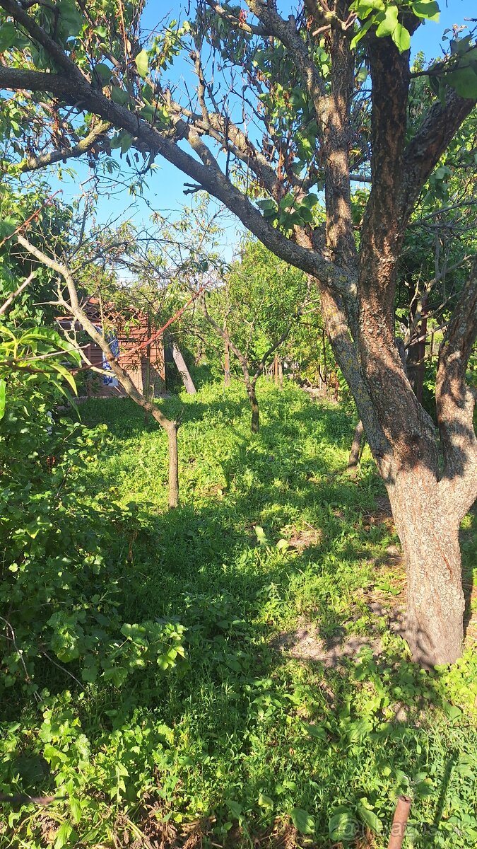 MODRA, starý vinársky dom, po rekonštrukcii trvalé bývanie - 4