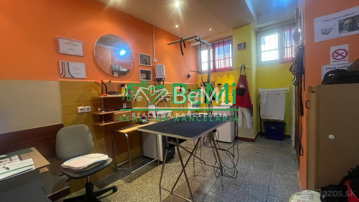 Odstúpenie - salónik - strihanie psíkov Sásová,Banská Bystri - 4