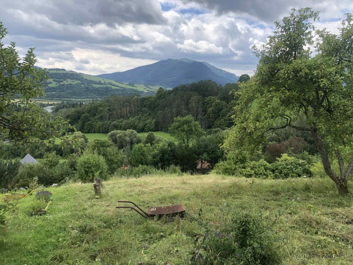 Na predaj záhrada – pozemok v záhradkárskej oblasti Istebné - 4