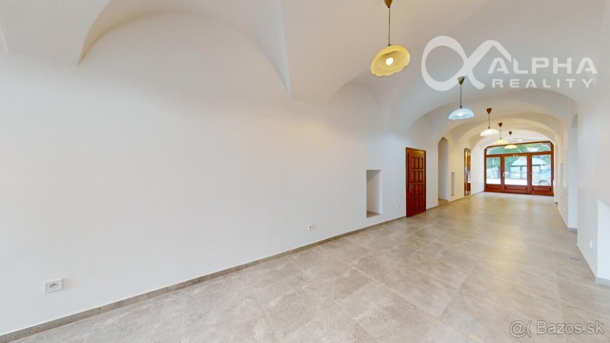 Polyfunkčný priestor, predaj, 66,5m2+pivnica 38m2, Zimná,SNV - 4