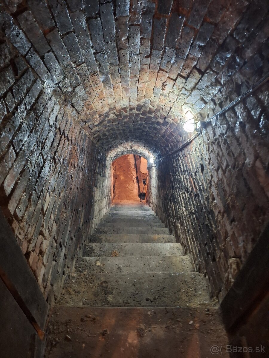 Vinohrad Viničný domček Strekov - 4