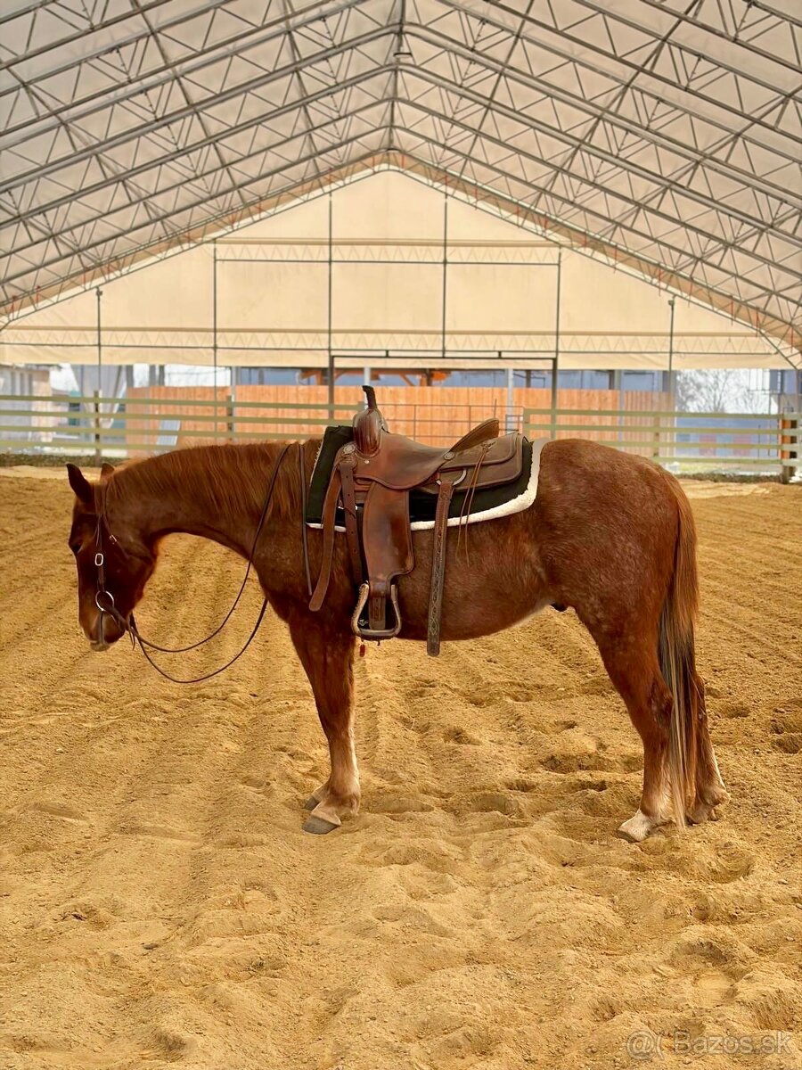 Na predaj 4r APH valach - 4