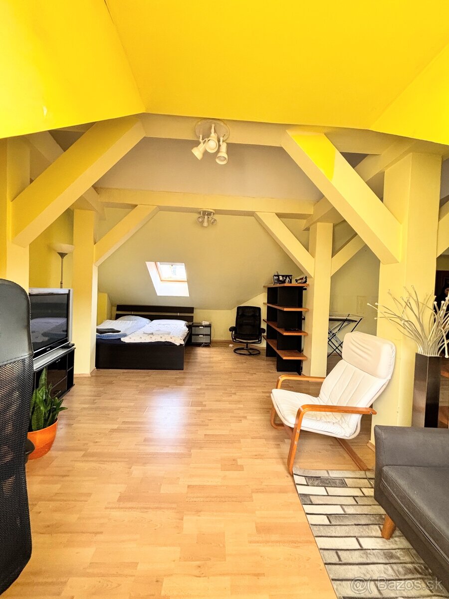 TREEF ponúka LOFT v centre Bratislavy 110m2 - 4