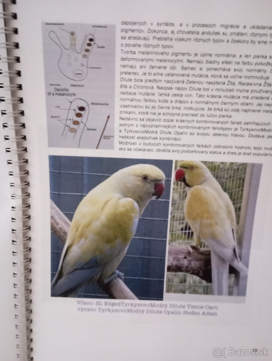 Knizka alexander maly genetika - 4