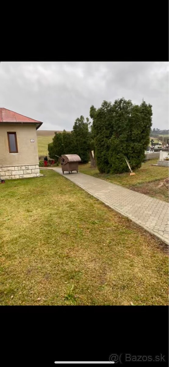 Výrub nebezpečných,rizikových stromov - 4