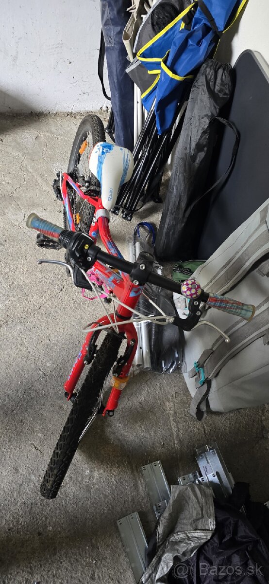 Detský bicykel Superior Paint XC 20 - 4