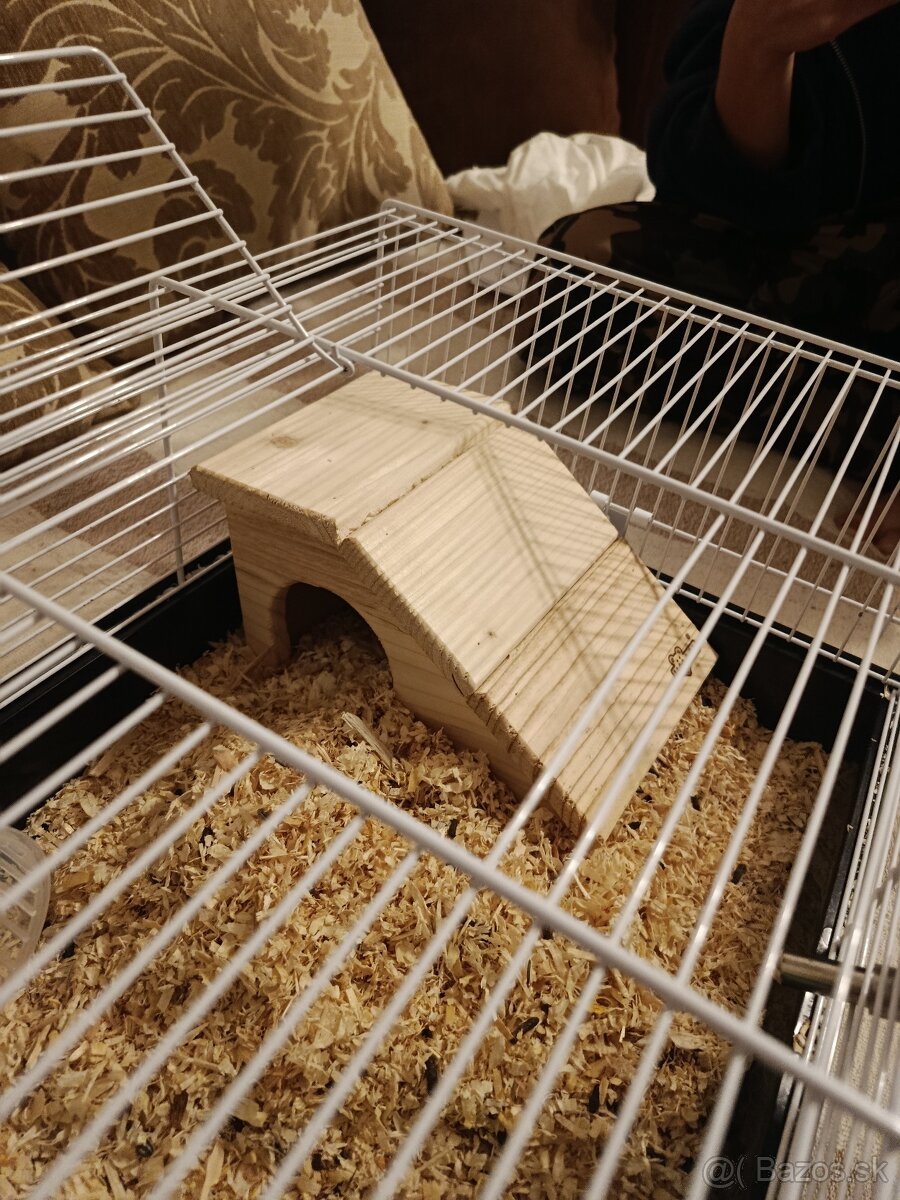 Predám skrečka sírskeho s klietkou - 4