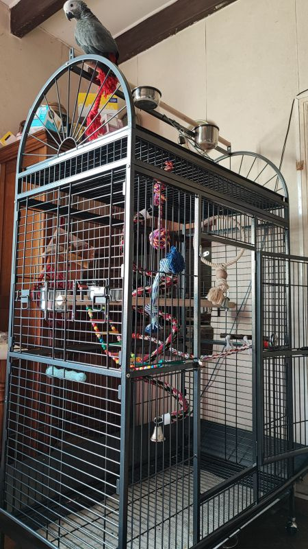 Klietka - voliéra pre vtáky, zvieratá - 4