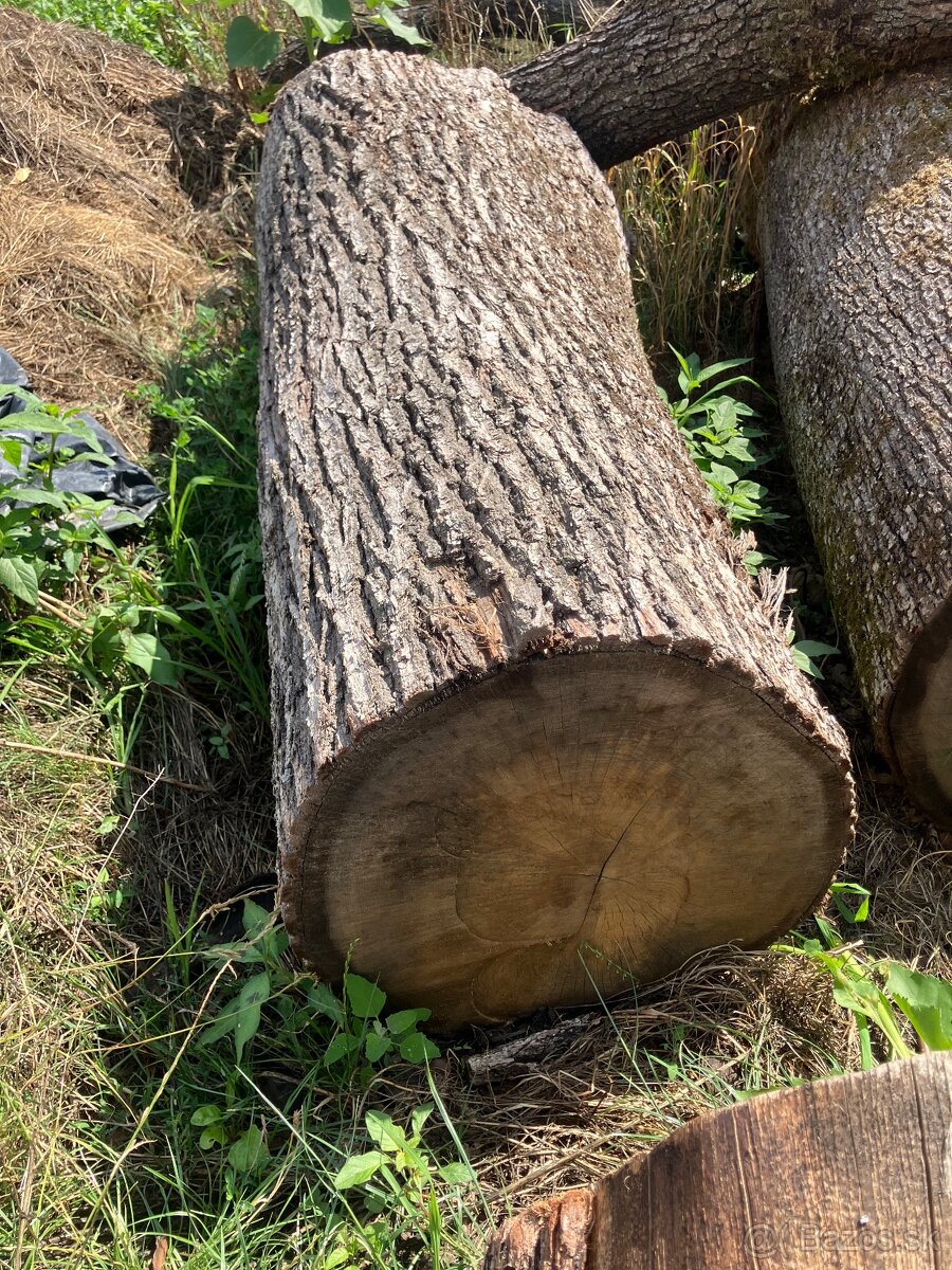 Dubovy pen=stol do exteriu - 4