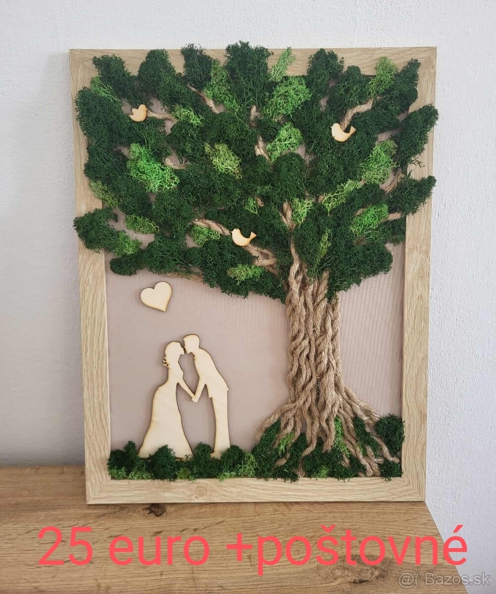 Predám machové obrazy. - 4