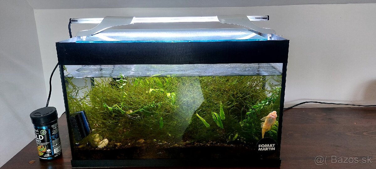 Aquarium 2x s príslušenstvom - 4