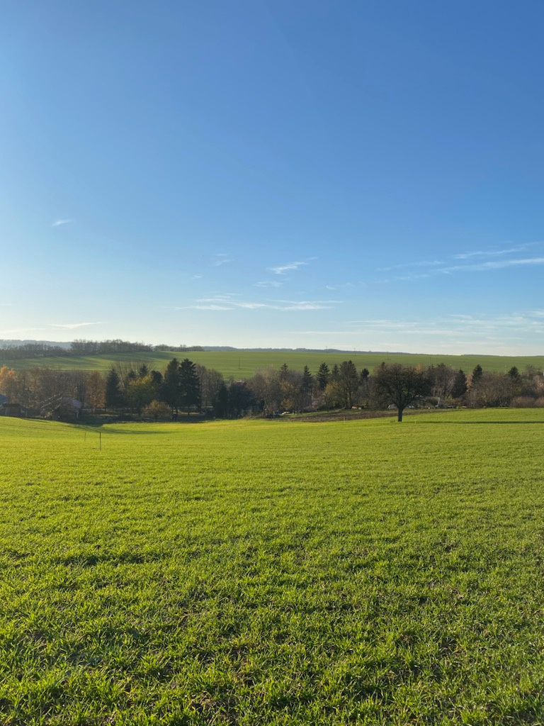 PREDAJ veľký pozemok v obci Dedinka. 5850 m2. - 4