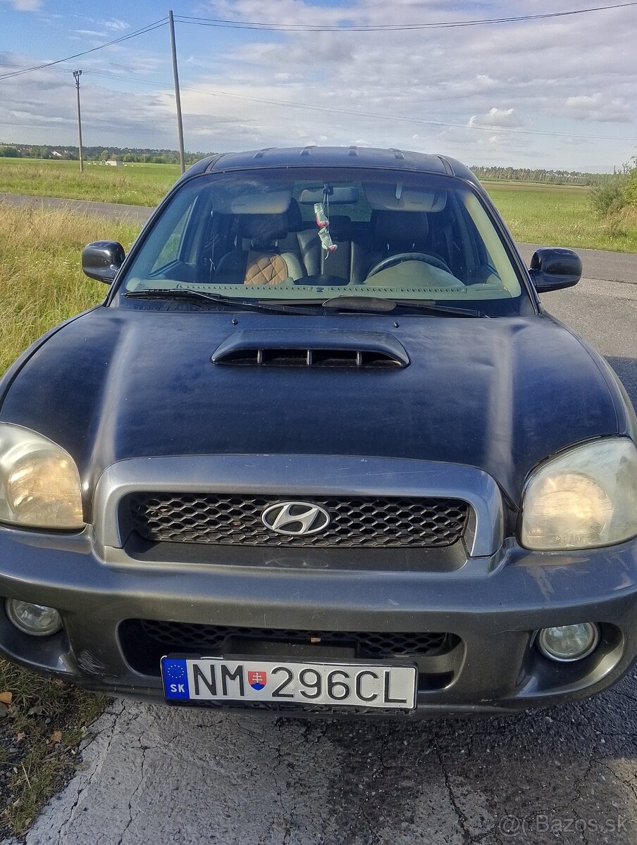 Hyundai Santa-fe 2004 - 4