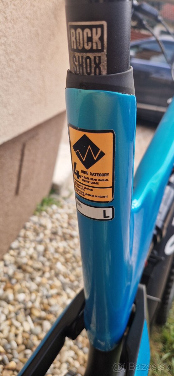 Canyon Spectral CF 9.0 Pro 2018 - 4