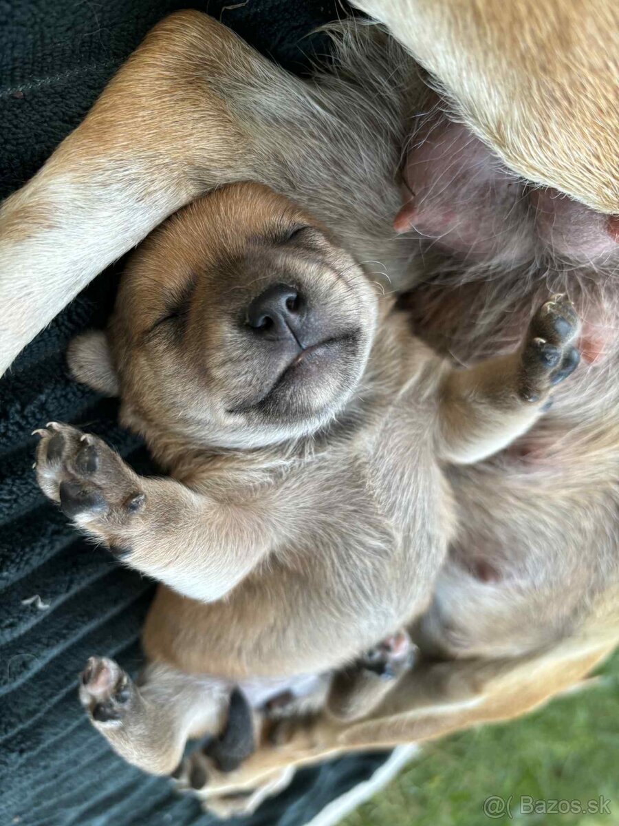 Darujeme len do dobrých rúk ‼️ - 4