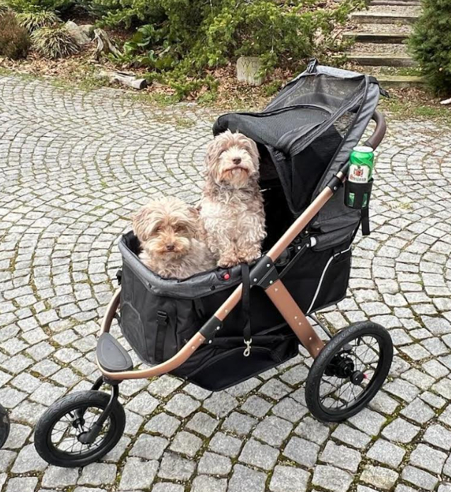 Kočík pre psa do 23 kg PetBuggy - 4
