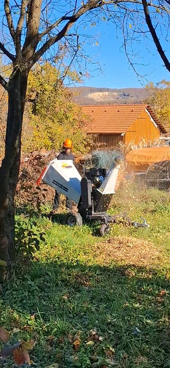 Štiepkovanie - 4