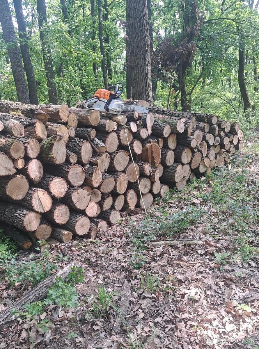 PREDÁM PALIVOVÉ DREVO 🪵🪵🪵 - 4