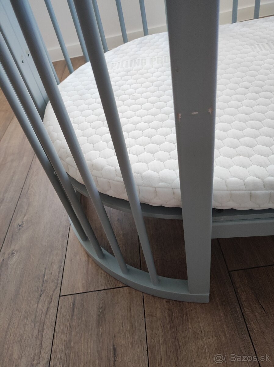 Rastúca postieľka sivá - 4