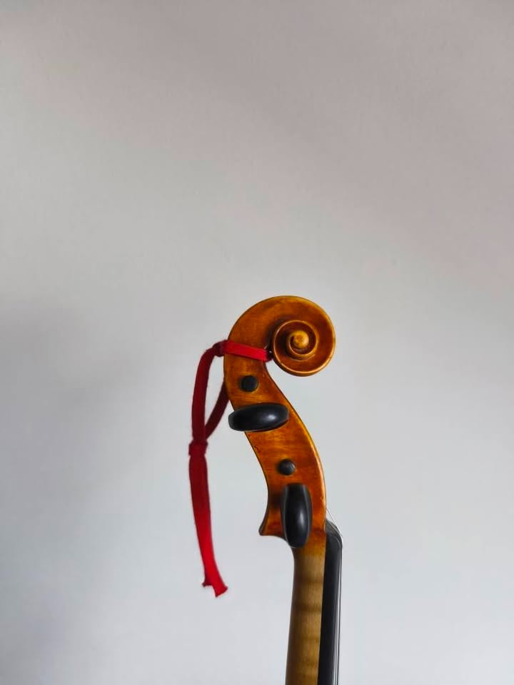 Gusle 4/4 Techler Germany - 4