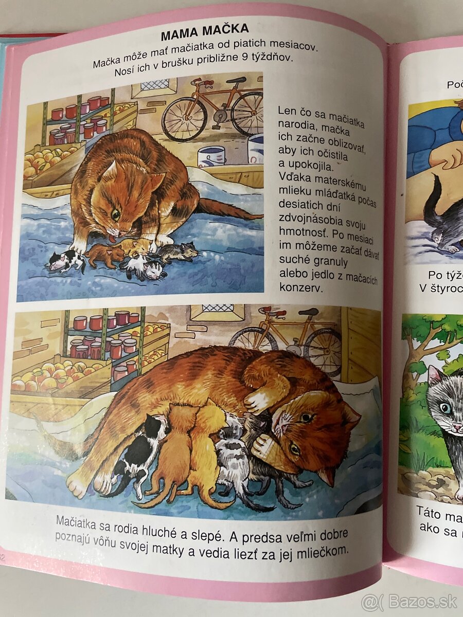 Leví kráľ Walt Disney,Bambi - 4