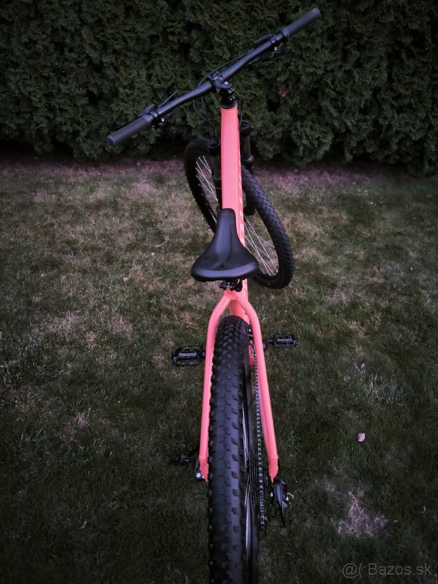 Specialized Rockhopper 29 - 4