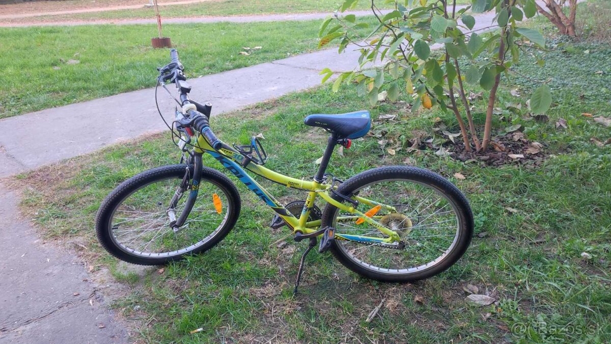 Kellys kitter 30 "24" - 4