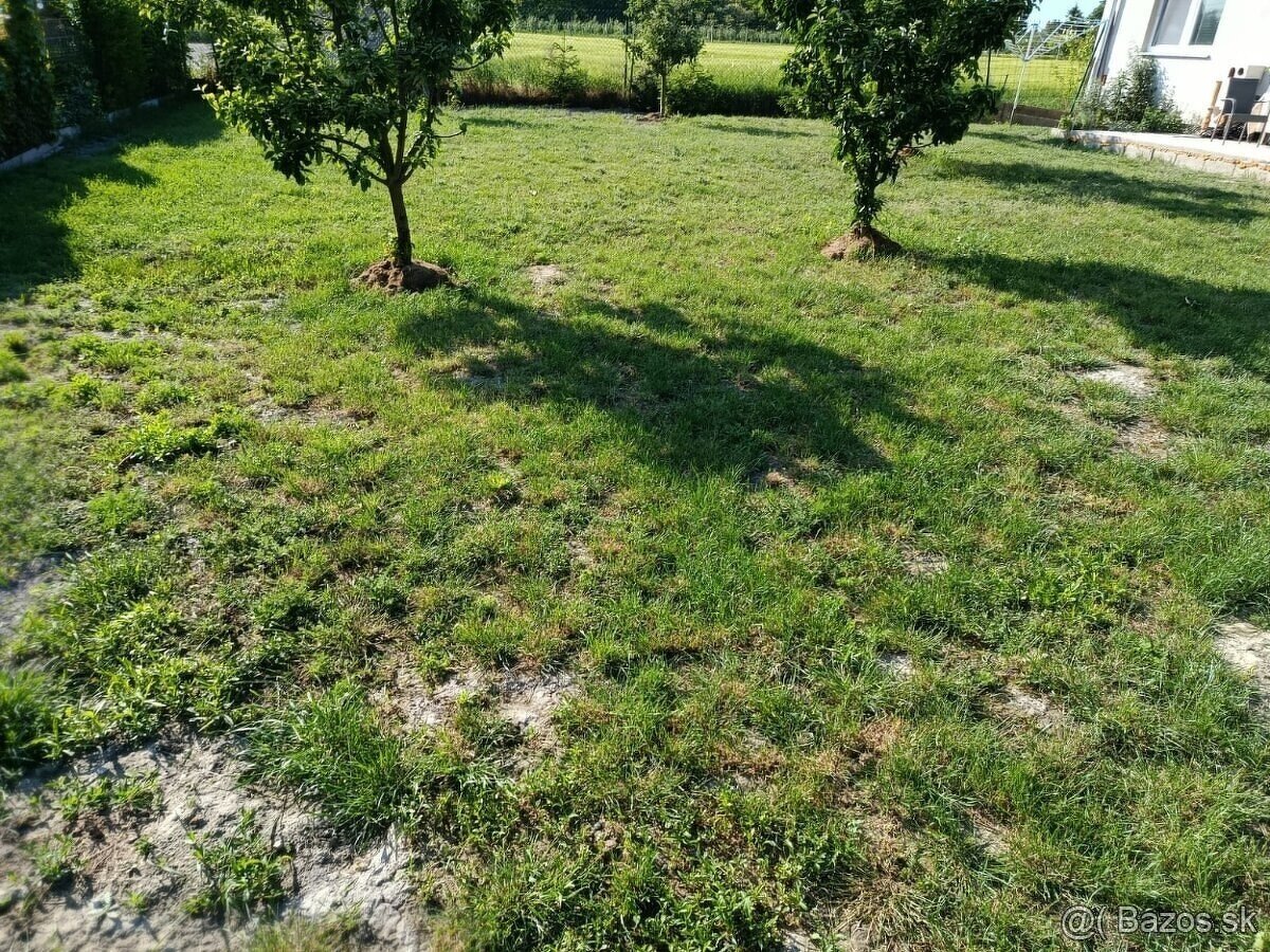 RD Čenkovce NOVOSTAVBA - 4