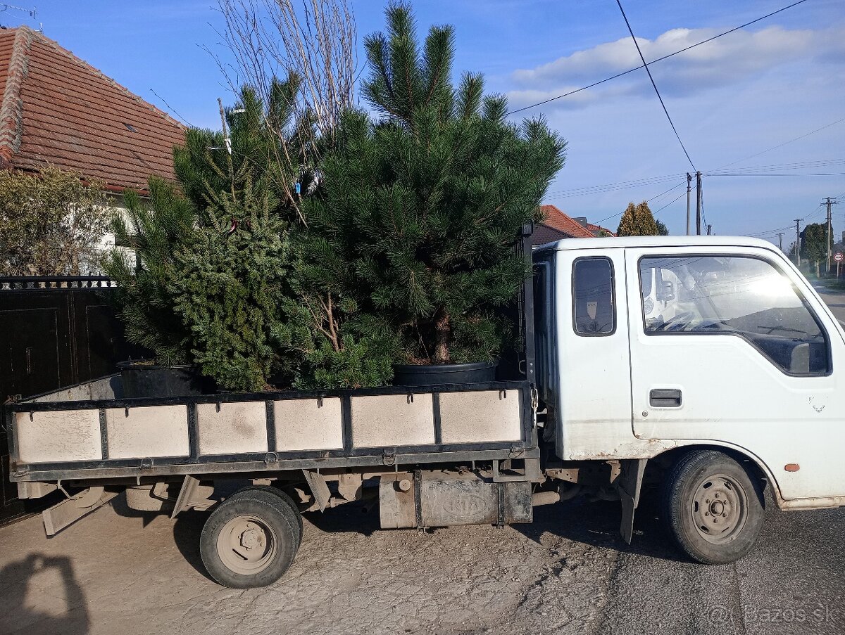 Kia K2700 - 4