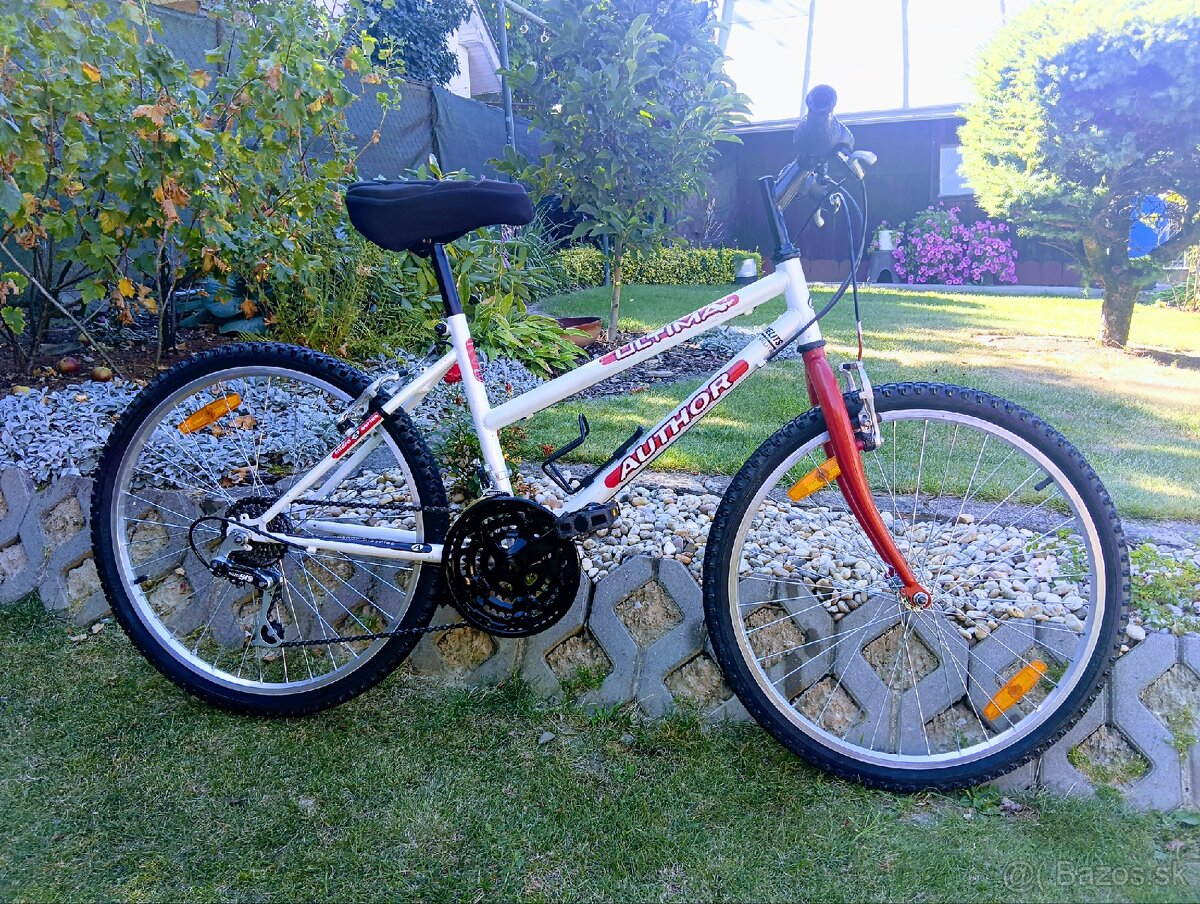 Author -detsky bicykel - 4