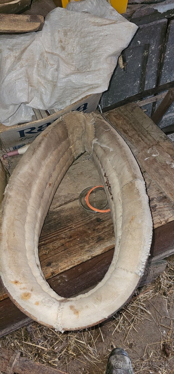 Chomunt na koňa - 4