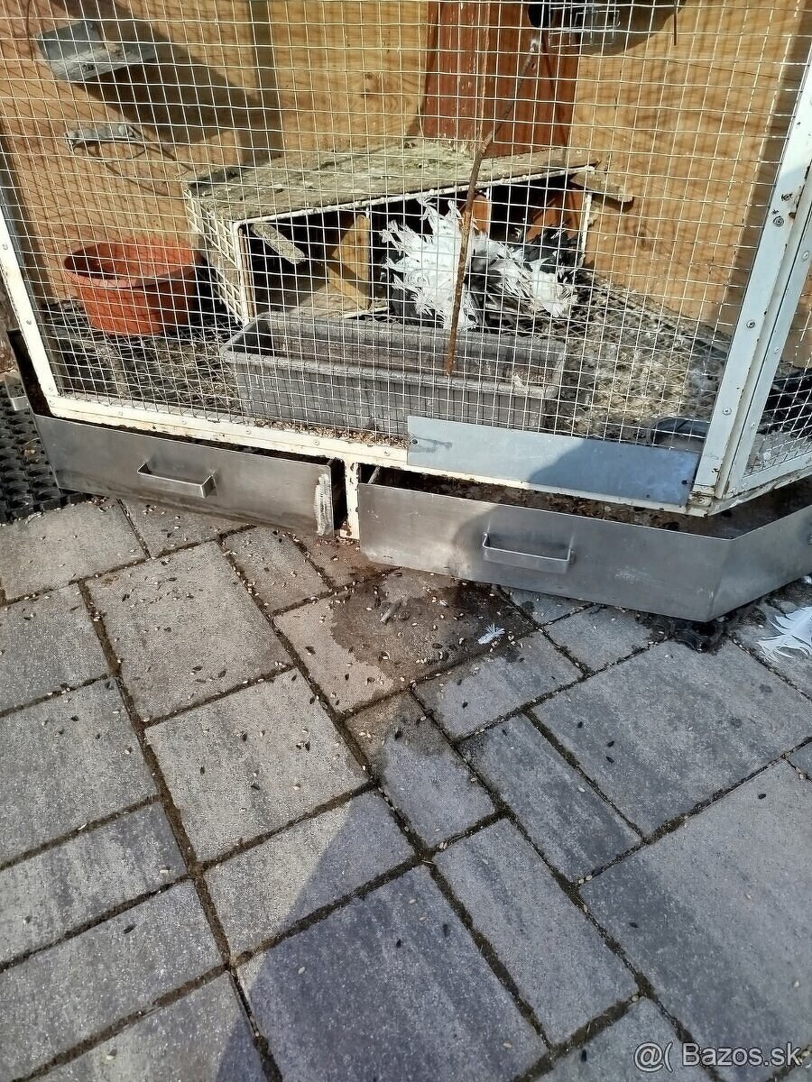 Klietka - voliera - 4