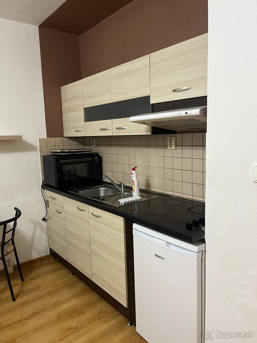 Plne zariadená garsónka - 4