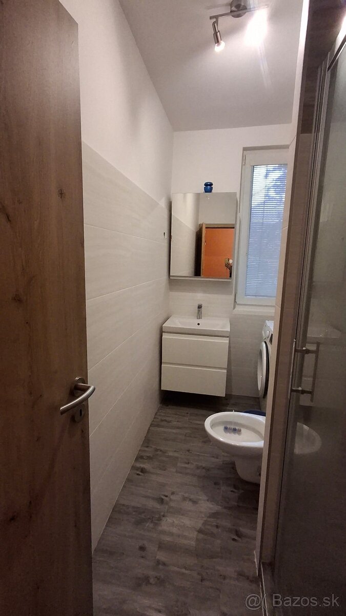 1izbový byt na prenájom - 4