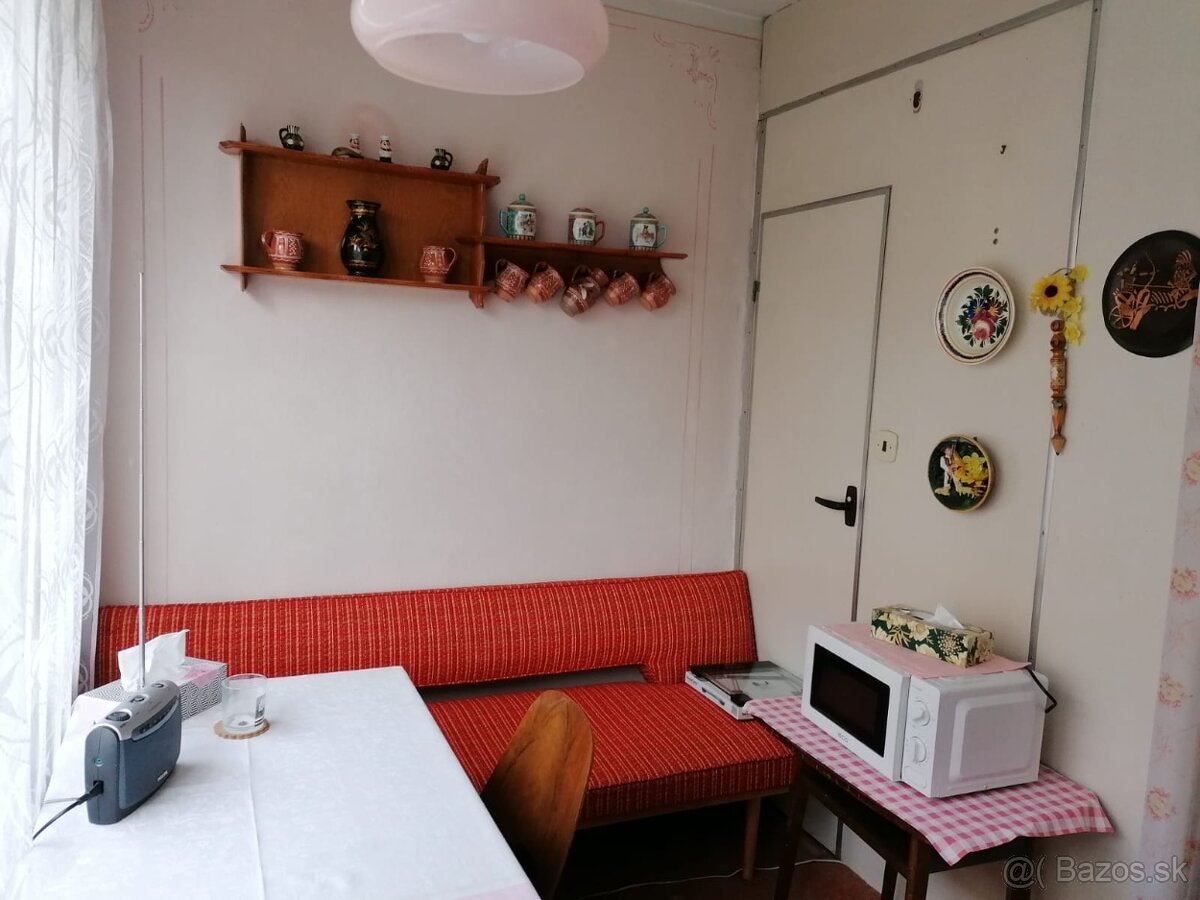 Prenájom 2 izbového bytu - 4