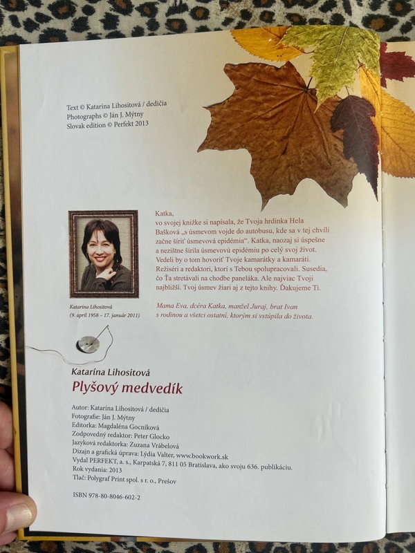 Plyšový medvedík - Katarína Lihositová - 4