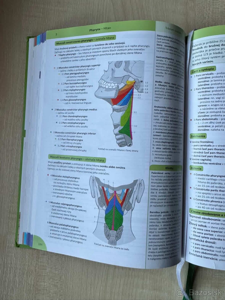 Memorix Anatómie - 4