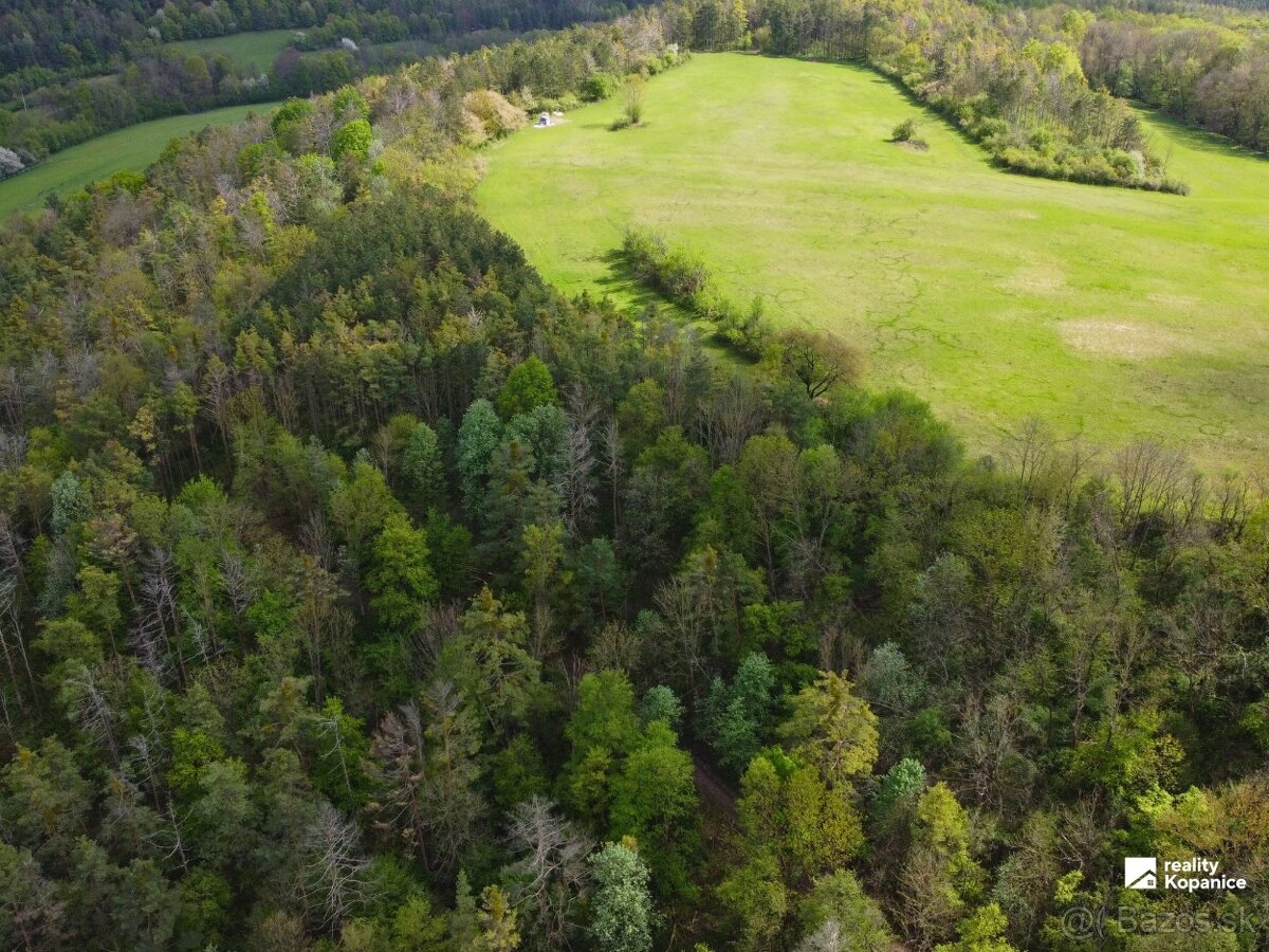 Veľký rekreačný pozemok, Brezová pod Bradlom - 4