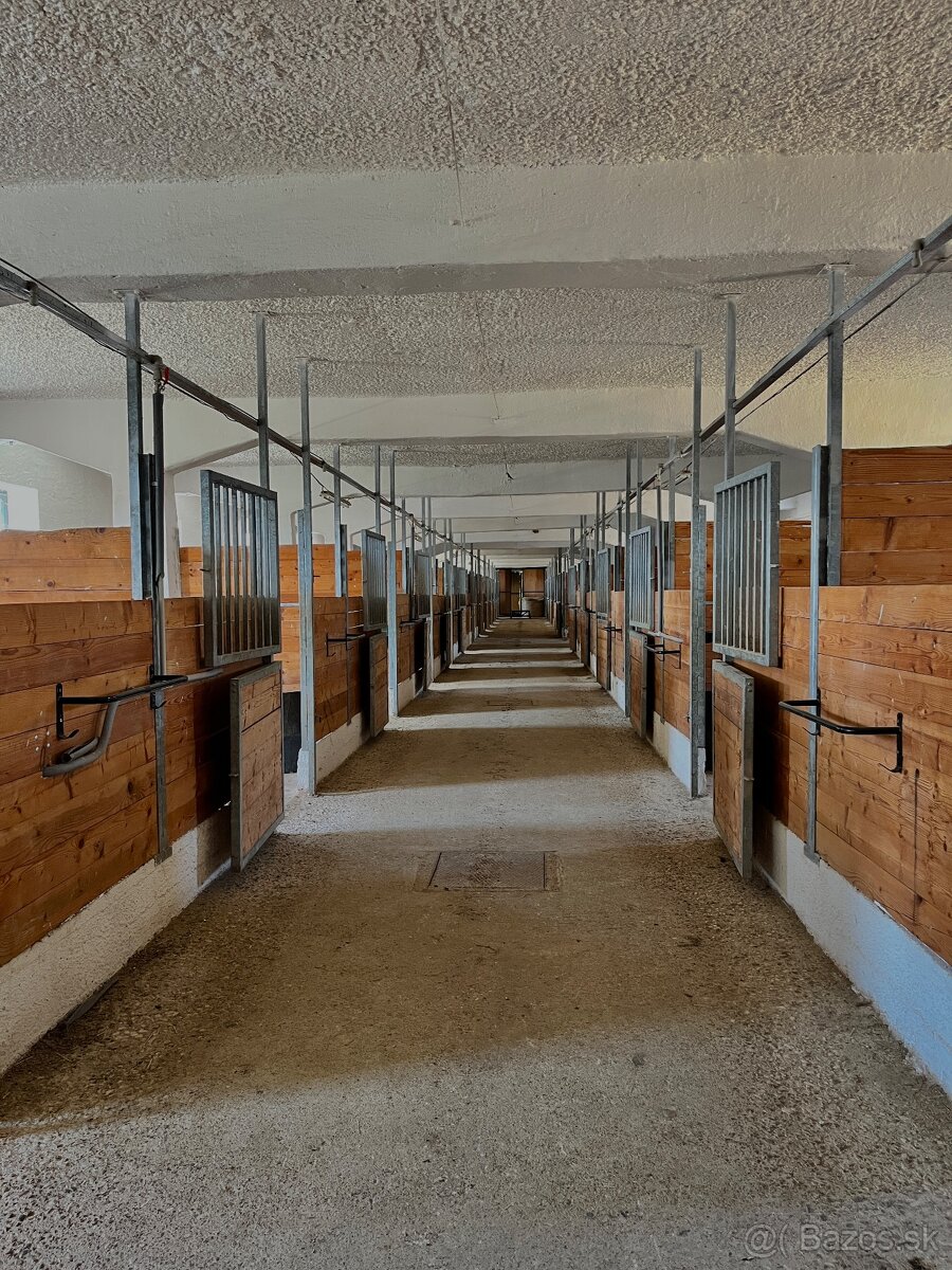Ustájnenie koní - 4