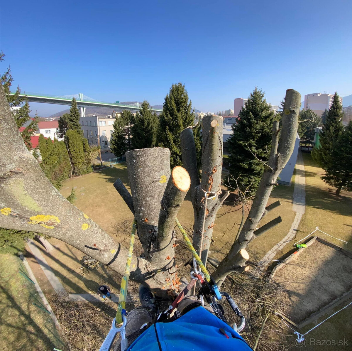 Rizikový výrub / rizikové pílenie stromov - 4