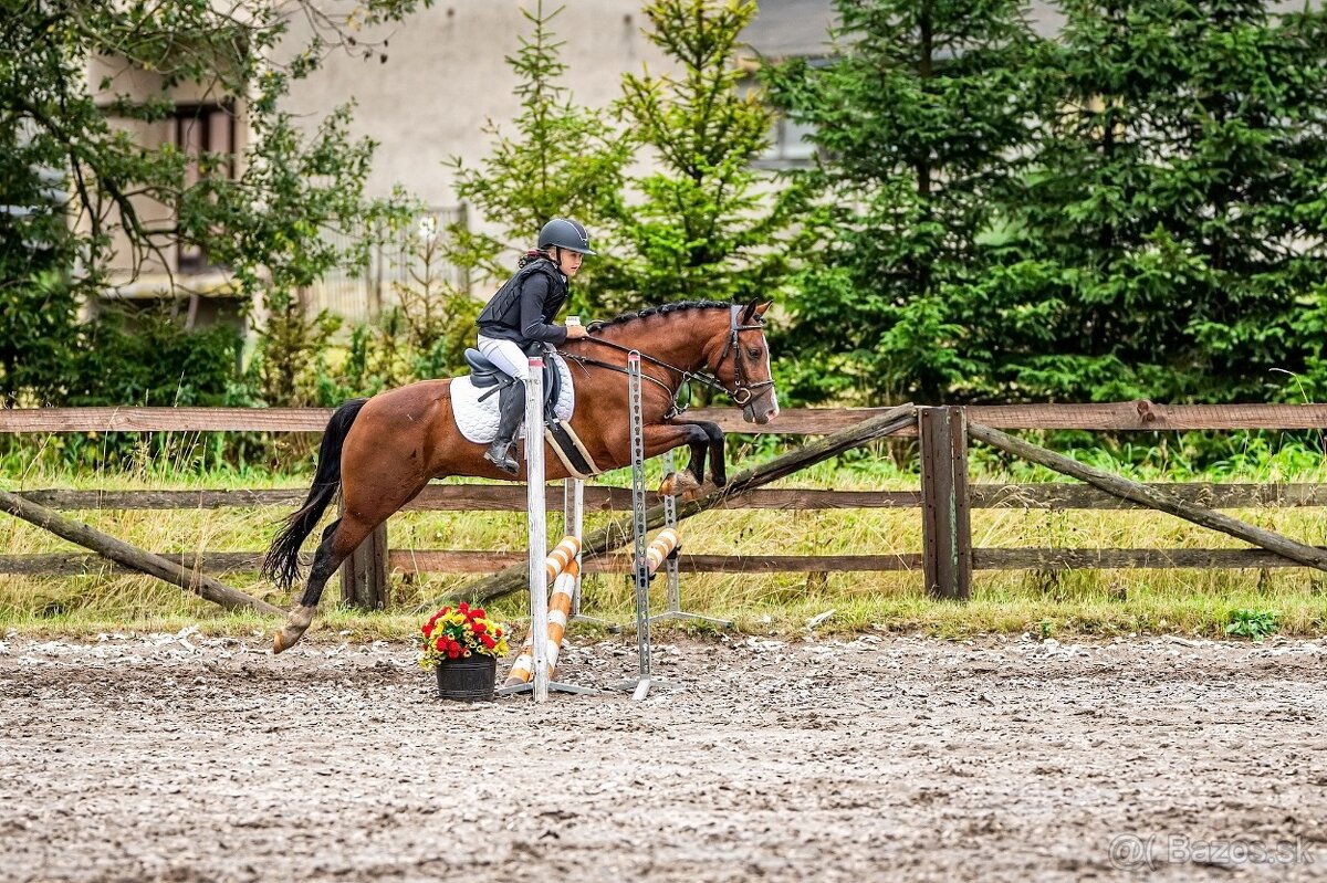 Náš Princ hledá svoji princeznu - 4