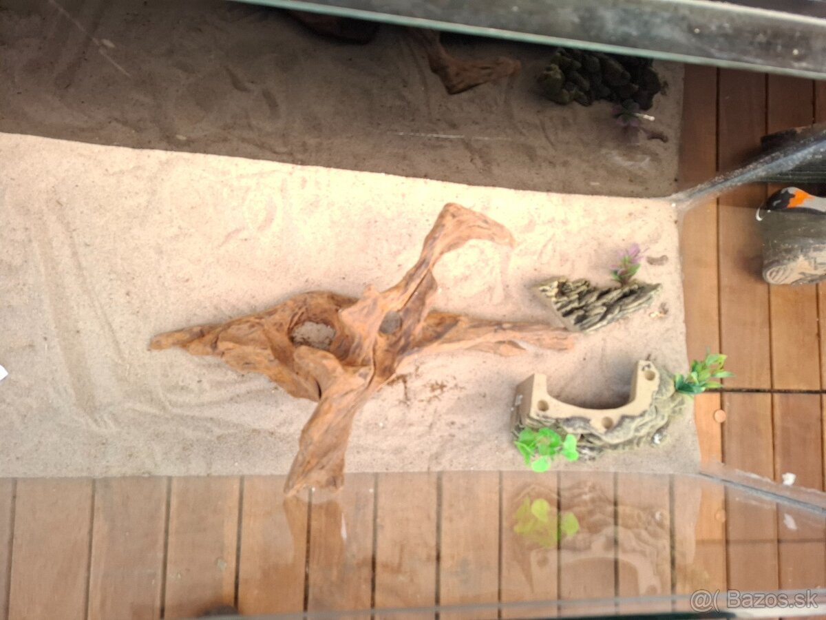 Predám akvarium - 4