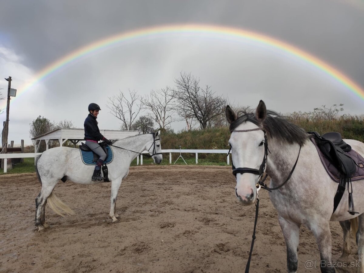 Ponúkame ustajnenie - 4