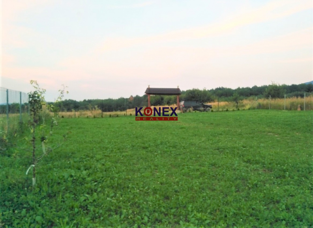 Chatka s krásnym 9 á pozemkom – Zemplínske Hámre - 4