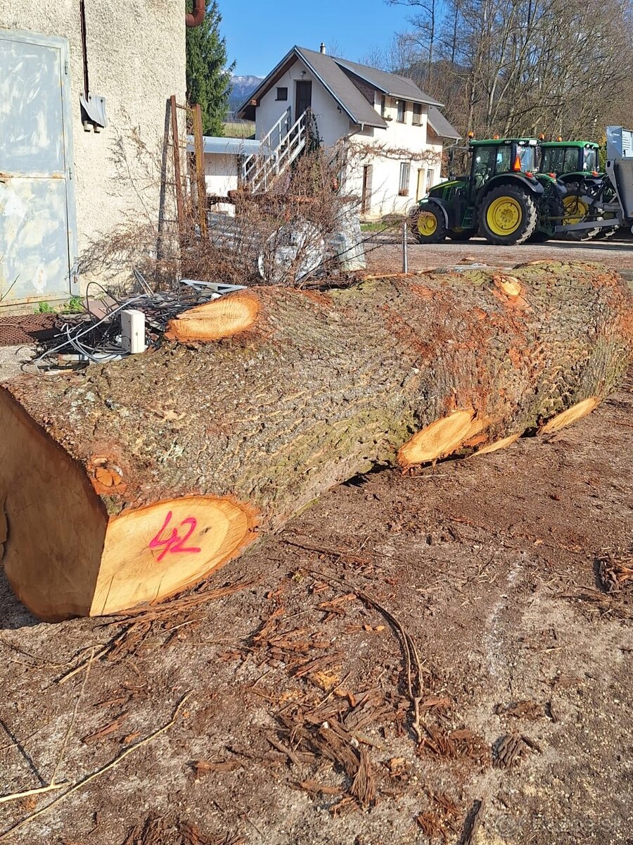 Dubová rustikálna guľatina - 4