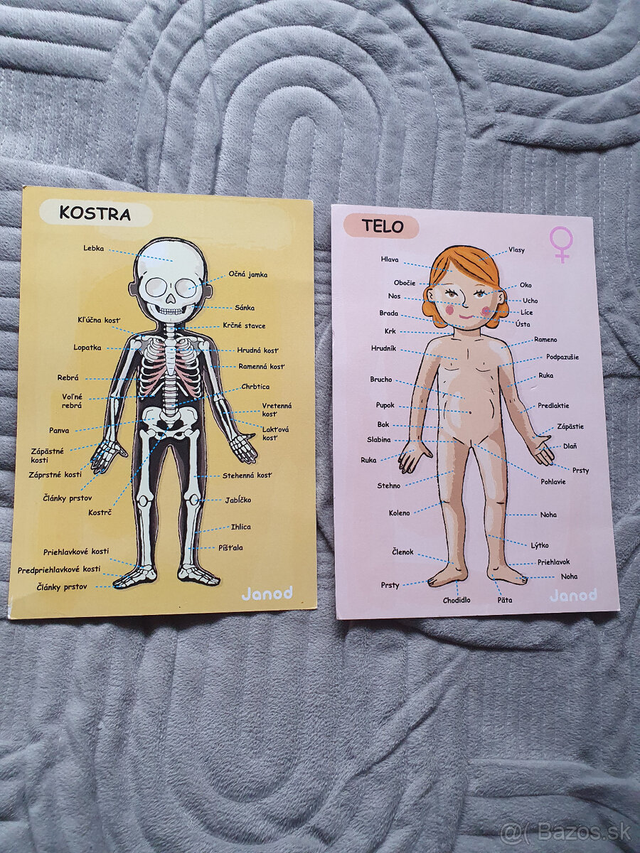 Magnetická skladačka - ľudské telo - 4