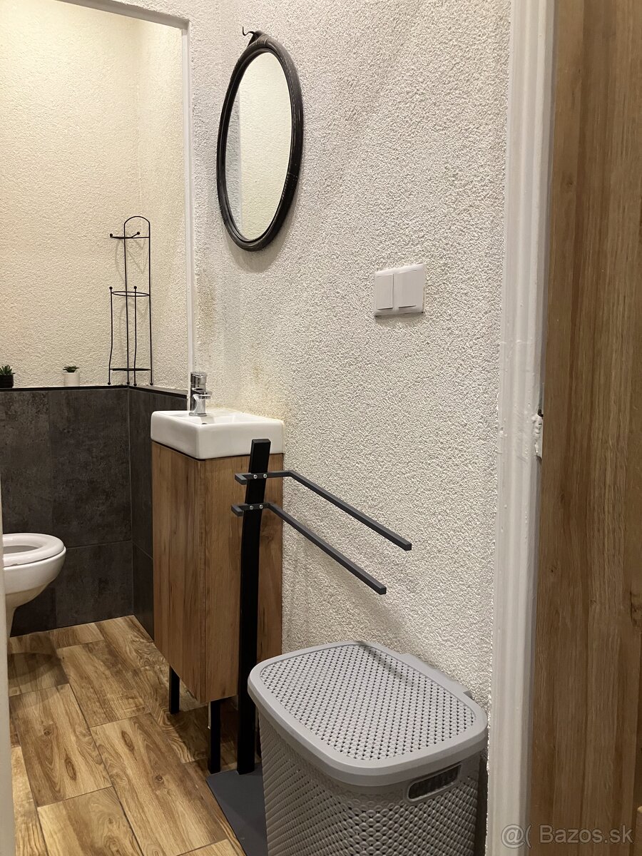 1izbovy byt prenájom - 4