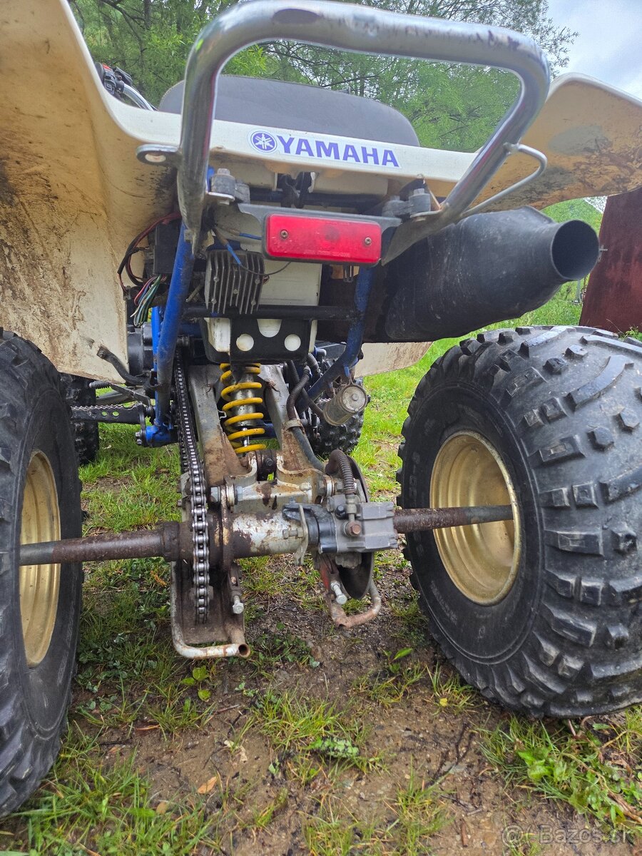 Yamaha warrior 350